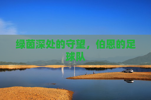 绿茵深处的守望，伯恩的足球队