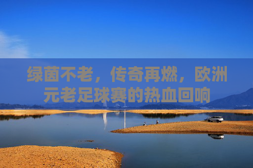 绿茵不老，传奇再燃，欧洲元老足球赛的热血回响