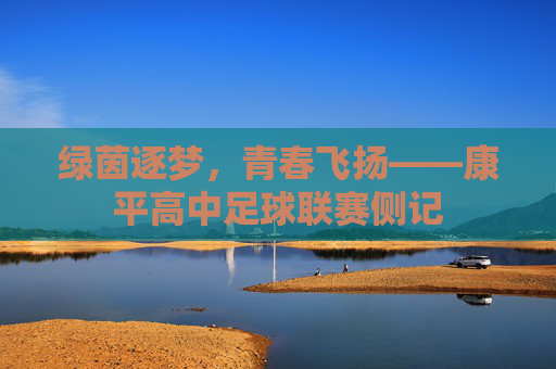 绿茵逐梦,青春飞扬——康平高中足球联赛侧记