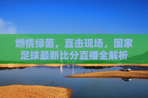 燃情绿茵,直击现场,国家足球最新比分直播全解析
