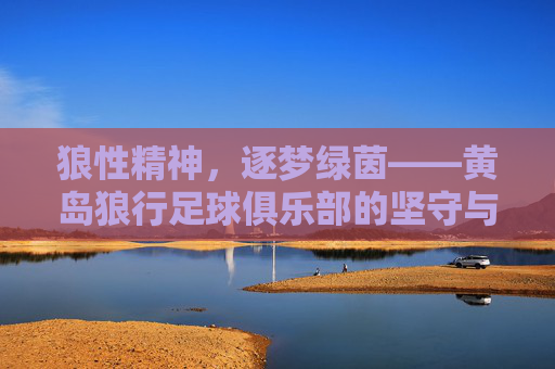 狼性精神，逐梦绿茵——黄岛狼行足球俱乐部的坚守与热爱