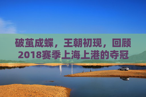破茧成蝶，王朝初现，回顾2018赛季上海上港的夺冠征程