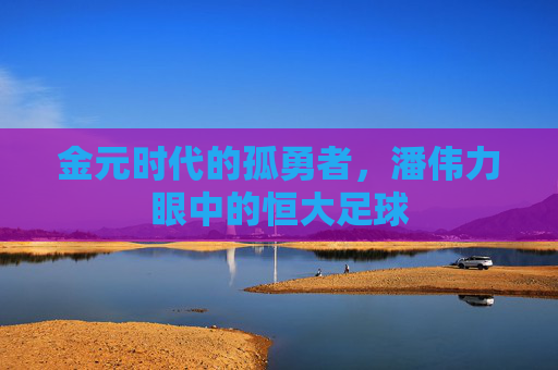 金元时代的孤勇者，潘伟力眼中的恒大足球