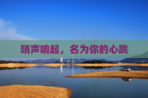 哨声响起，名为你的心跳