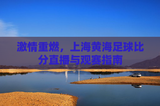 激情重燃，上海黄海足球比分直播与观赛指南