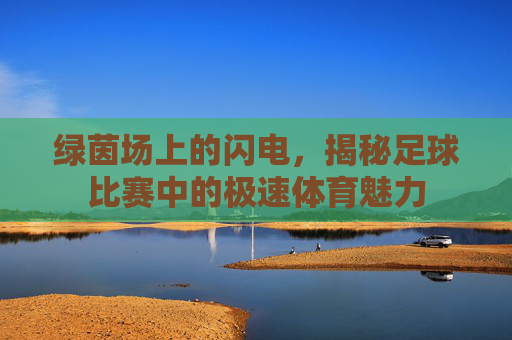 绿茵场上的闪电，揭秘足球比赛中的极速体育魅力