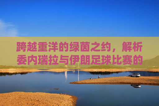 跨越重洋的绿茵之约，解析委内瑞拉与伊朗足球比赛的独特魅力
