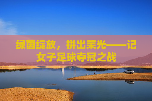 绿茵绽放，拼出荣光——记女子足球夺冠之战