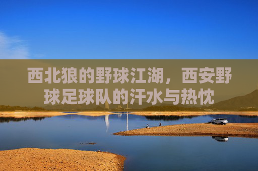 西北狼的野球江湖，西安野球足球队的汗水与热忱