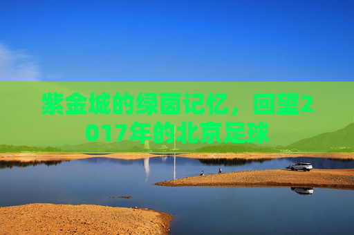 紫金城的绿茵记忆，回望2017年的北京足球