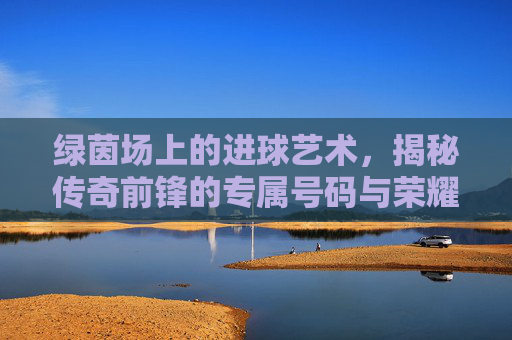 绿茵场上的进球艺术，揭秘传奇前锋的专属号码与荣耀