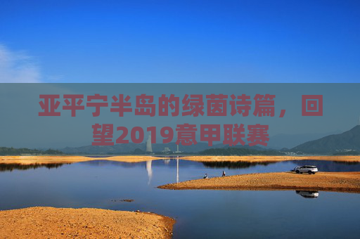 亚平宁半岛的绿茵诗篇，回望2019意甲联赛