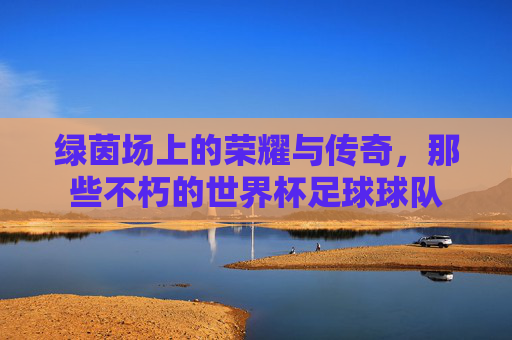绿茵场上的荣耀与传奇,那些不朽的世界杯足球球队