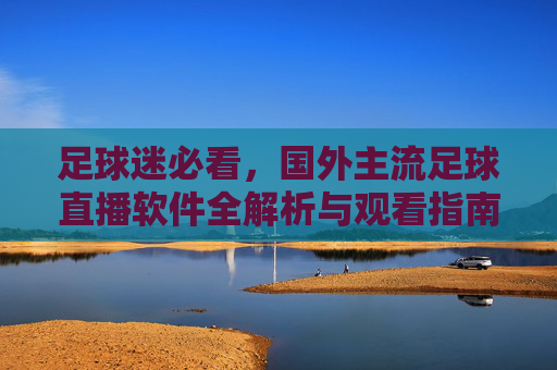 足球迷必看,国外主流足球直播软件全解析与观看指南