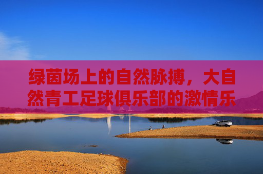 绿茵场上的自然脉搏，大自然青工足球俱乐部的激情乐章