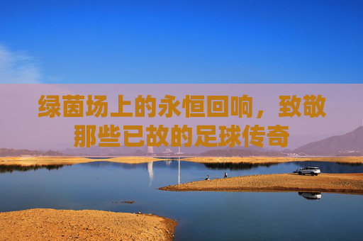 绿茵场上的永恒回响，致敬那些已故的足球传奇