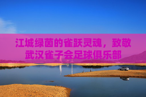 江城绿茵的雀跃灵魂,致敬武汉雀子会足球俱乐部