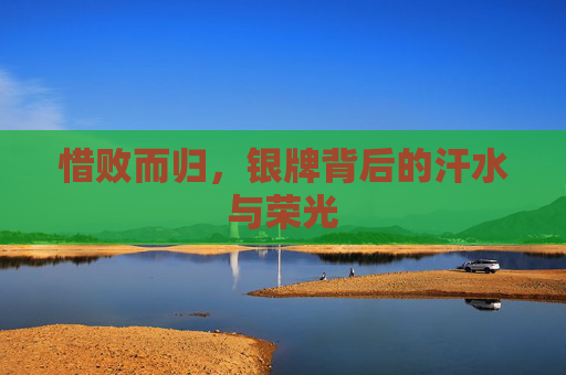 惜败而归，银牌背后的汗水与荣光