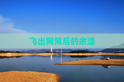 飞出网窝后的余温