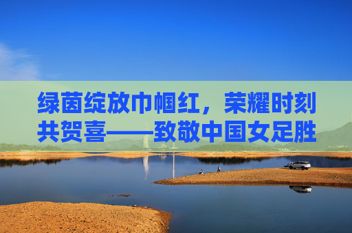 绿茵绽放巾帼红，荣耀时刻共贺喜——致敬中国女足胜利明星