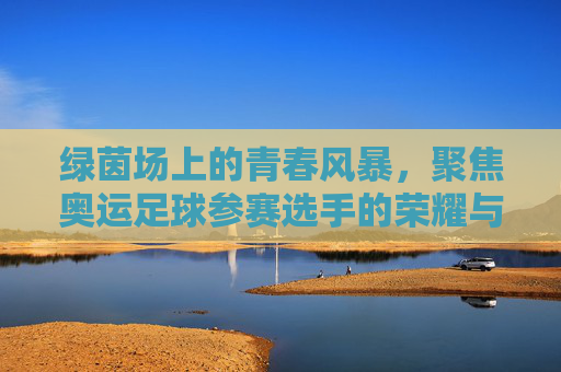 绿茵场上的青春风暴，聚焦奥运足球参赛选手的荣耀与挑战