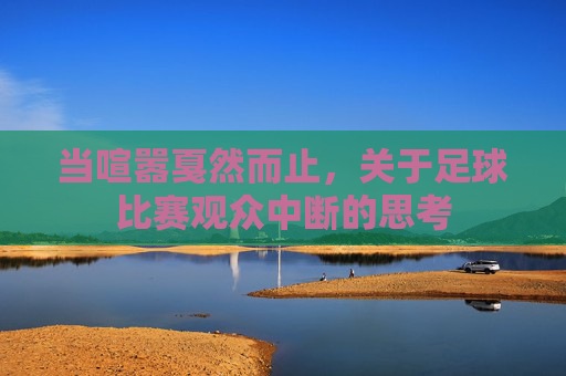 当喧嚣戛然而止,关于足球比赛观众中断的思考