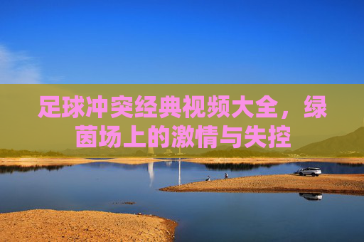 足球冲突经典视频大全，绿茵场上的激情与失控