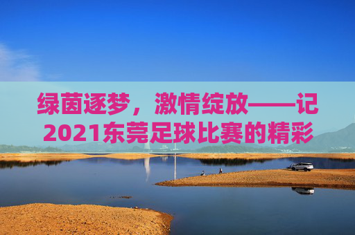 绿茵逐梦，激情绽放——记2021东莞足球比赛的精彩瞬间与城市温度