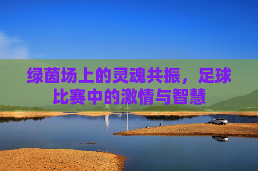 绿茵场上的灵魂共振，足球比赛中的激情与智慧