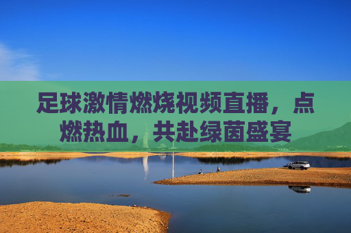 足球激情燃烧视频直播，点燃热血，共赴绿茵盛宴