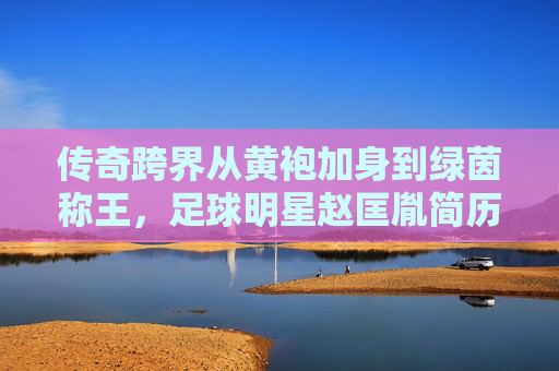 传奇跨界从黄袍加身到绿茵称王，足球明星赵匡胤简历大揭秘