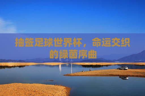 抽签足球世界杯，命运交织的绿茵序曲