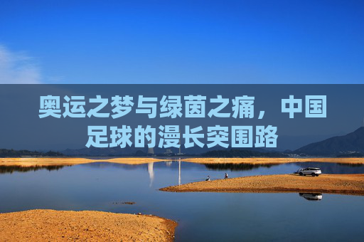 奥运之梦与绿茵之痛,中国足球的漫长突围路
