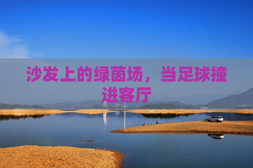 沙发上的绿茵场，当足球撞进客厅