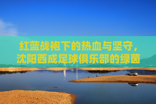 红蓝战袍下的热血与坚守，沈阳西成足球俱乐部的绿茵追梦路