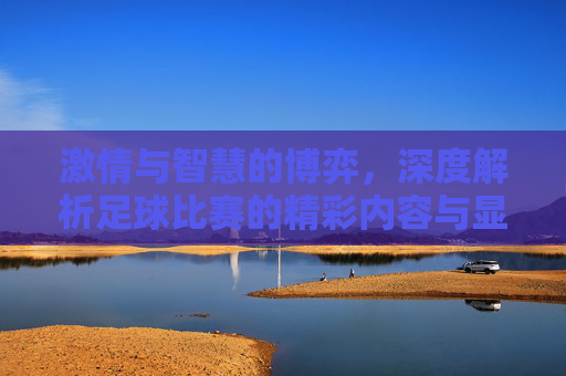激情与智慧的博弈，深度解析足球比赛的精彩内容与显著成效