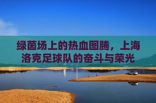 绿茵场上的热血图腾，上海洛克足球队的奋斗与荣光