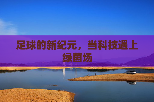 足球的新纪元,当科技遇上绿茵场