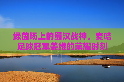 绿茵场上的蜀汉战神，麦咭足球冠军姜维的荣耀时刻