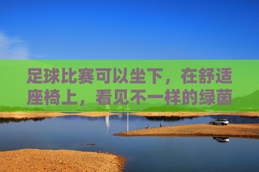 足球比赛可以坐下，在舒适座椅上，看见不一样的绿茵场