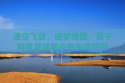 凌空飞跃，逐梦绿茵，男子残疾足球赛中的生命赞歌
