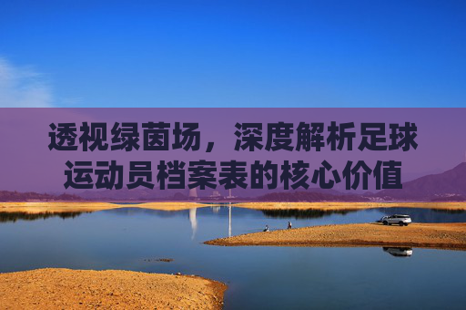 透视绿茵场，深度解析足球运动员档案表的核心价值