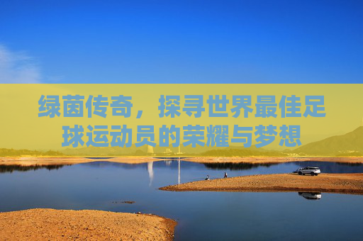 绿茵传奇，探寻世界最佳足球运动员的荣耀与梦想