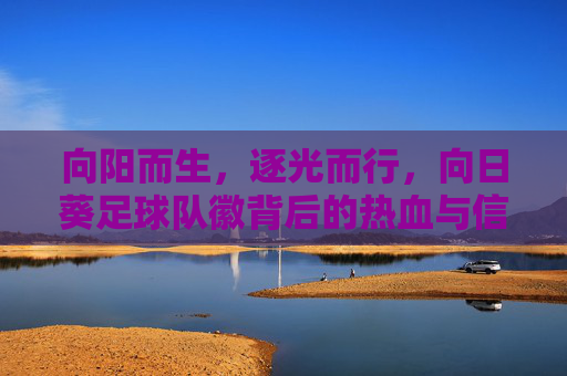 向阳而生，逐光而行，向日葵足球队徽背后的热血与信仰