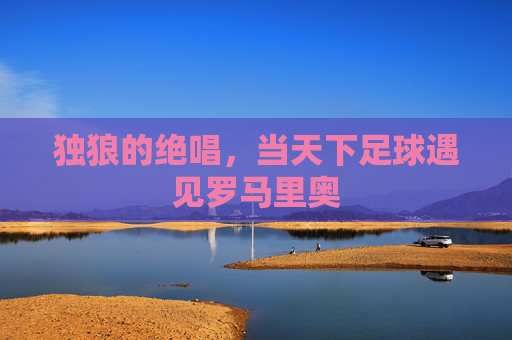 独狼的绝唱，当天下足球遇见罗马里奥