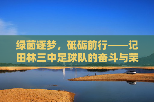 绿茵逐梦，砥砺前行——记田林三中足球队的奋斗与荣耀