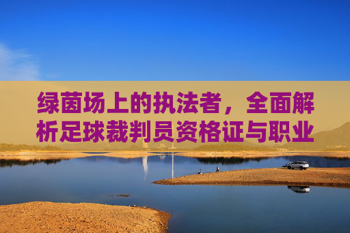 绿茵场上的执法者，全面解析足球裁判员资格证与职业之路