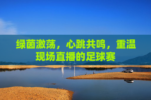 绿茵激荡，心跳共鸣，重温现场直播的足球赛