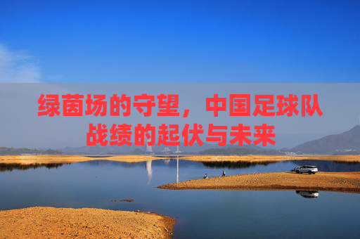 绿茵场的守望，中国足球队战绩的起伏与未来