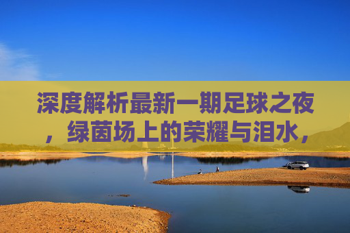 深度解析最新一期足球之夜，绿茵场上的荣耀与泪水，见证传奇时刻